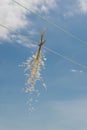 Relaxing image of a dried plants bouquet hanging in a clothesline against blue sky.