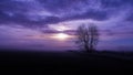 Relaxing image of a foggy landscape.