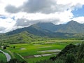 Relaxing landscape hawaii