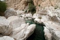 Relaxing visit to Wadi Bani Khalid, Oman Royalty Free Stock Photo