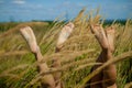 Relaxing in the nature Woman legs between spikelets and grass in field. Royalty Free Stock Photo