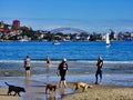 Relaxing on Rose Bay Beach, Sydney Harbour, Australia