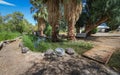 Relaxing scene at Shoshone spring