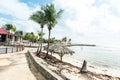 Relaxing scenery at resort in Guadeloupe. Tropical scene with beach chairs and palm trees