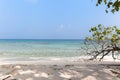 White sandy beach in the Maldives Royalty Free Stock Photo