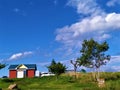 Relaxing sunny day in countryside of Hokkaido, Japan Royalty Free Stock Photo