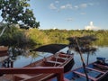 Relaxing at sunset in the rainforest of the amazon jungle