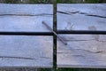 Relaxing terrace on the square. the tree grows through wooden oak solid planks beams from oak gray wood without impregnation wood