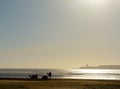 Relaxing time by the sea on sunset Royalty Free Stock Photo