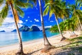 Relaxing tropical scenery with beautiful palm beach Royalty Free Stock Photo