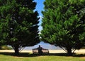 Relaxing under the shade trees at the lake