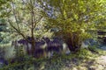 Relaxing view of the river Eume in Galicia, Spain from a tree-lined shore in a typical Atlantic forest Royalty Free Stock Photo