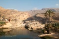 Relaxing visit to Wadi Bani Khalid, Oman Royalty Free Stock Photo