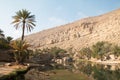 Relaxing visit to Wadi Bani Khalid, Oman Royalty Free Stock Photo