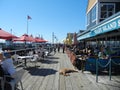 Relaxing on the waterfront