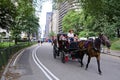 Central Park NYC carriages and pedicabs -3 Royalty Free Stock Photo