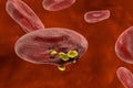 Release of malaria parasites from red blood cell Royalty Free Stock Photo