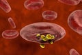 Release of malaria parasites from red blood cell Royalty Free Stock Photo