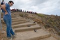 Releasing of cory`s shearwaters. Royalty Free Stock Photo