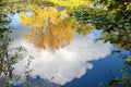 Relections on a sunny autumn day at a lake in Horley Royalty Free Stock Photo