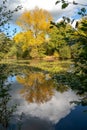 Relections on a sunny autumn day at a lake in Surrey Royalty Free Stock Photo