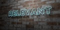 RELEVANT - Glowing Neon Sign on stonework wall - 3D rendered royalty free stock illustration Royalty Free Stock Photo