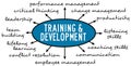 Training development