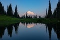 Relfection of Mount Rainier at Tipsoo Lake Washington Royalty Free Stock Photo