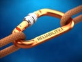 Reliability word on steel spring hook carabine with ropes. Reliability concept Royalty Free Stock Photo