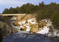 Relic at Whitefish Falls, Bay of Islands - Ontario Royalty Free Stock Photo