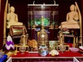 relics of the Buddha housed in the golden shield with flowers