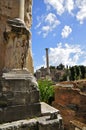 Roman Forum Royalty Free Stock Photo