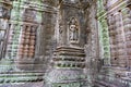 Relief - carved stones in temple Ta Prohm, Angkor Wat, Khmer Temple, Siem Reap, Cambodia. Royalty Free Stock Photo