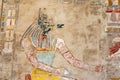 A relief depicting Anubis at the Mortuary Temple of Hatshepsut. Royalty Free Stock Photo