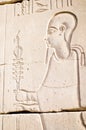 Relief of the God Ptah, Karnak, Egypt. Royalty Free Stock Photo