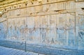 Relief of Immortals in Persepolis, Iran