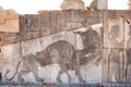 Relief of a lion hunting bull in ancient city of Persepolis,Shiraz,Iran Royalty Free Stock Photo