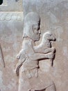 Relief sculpture, Persepolis Royalty Free Stock Photo
