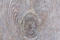 Relief texture of the surface of the old wooden board with poor processing, the expressive direction of the wood fibers and th