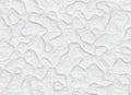 Relief white design hand made plaster texture
