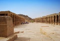 Reliefs and pillars of the island of File, Assuan, Egypt Royalty Free Stock Photo