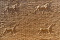 Reliefs at walls in the ancient city of Babylon, Iraq Royalty Free Stock Photo