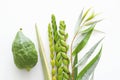 Religion image of Jewish festival of Sukkot. Traditional symbols The four species: Etrog, lulav, hadas, arava. white background Royalty Free Stock Photo