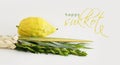 Religion image of Jewish festival of Sukkot. Traditional symbols The four species: Etrog, lulav, hadas, arava. white background Royalty Free Stock Photo