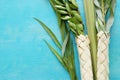 Religion image of Jewish festival of Sukkot. Traditional symbols The four species: lulav, hadas, arava