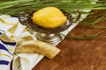 Religion jewish celebration holy holiday Sukkot the Etrog, lulav, hadas arava kippah and shofar tallit