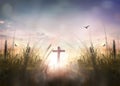 The wooden cross on meadow on sunrise background Royalty Free Stock Photo