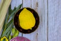 Religious feast of tabernacles with etrog it symbol for Sukkot Jewish holiday