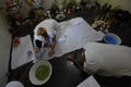 Religious ritual, Umbanda. Brazil Royalty Free Stock Photo