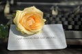 Religious inspirational quote - God removes and God replaces. Text message with yellow rose flower on white paper.